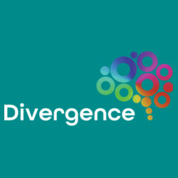 Divergence Men's Staple T Design